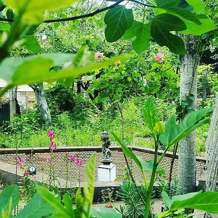 Sirma's House Хостел